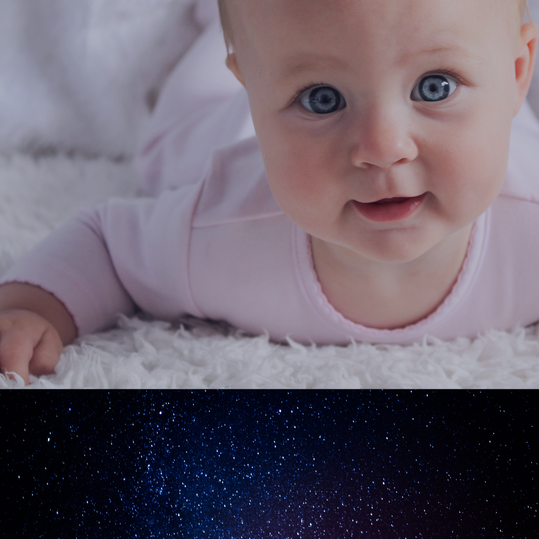 Phone Consultation + 2 Week Support